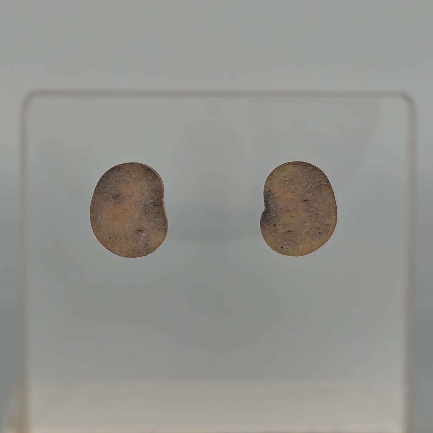 Potatoes