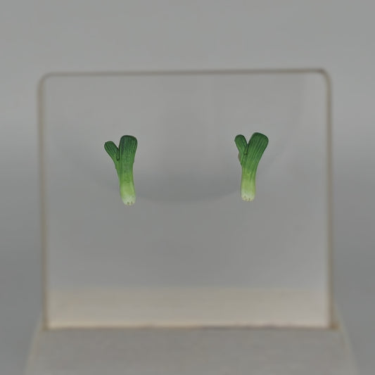 Leek